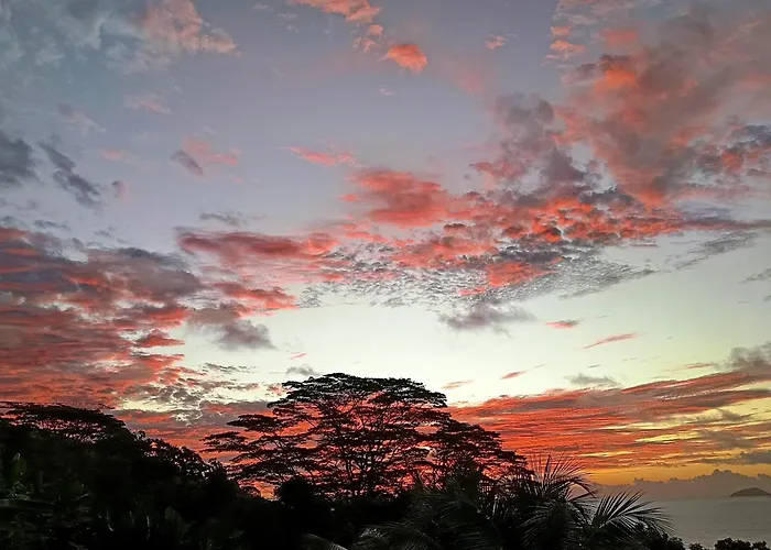 My Paradise