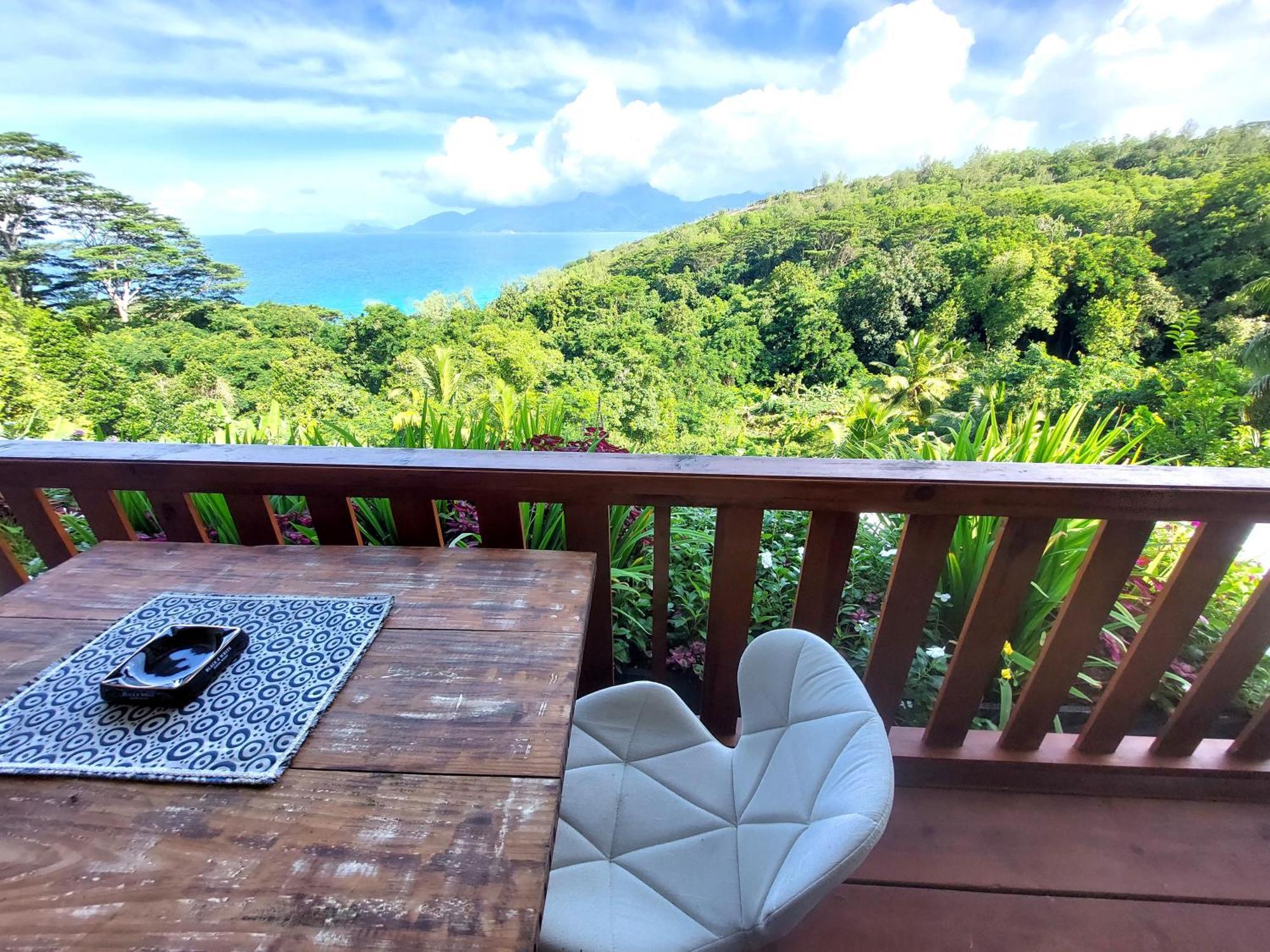 My Paradise Apartment